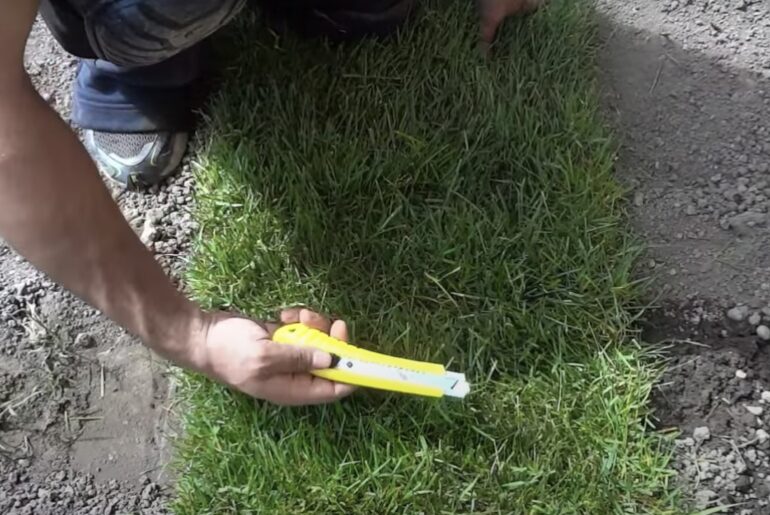 sod knife