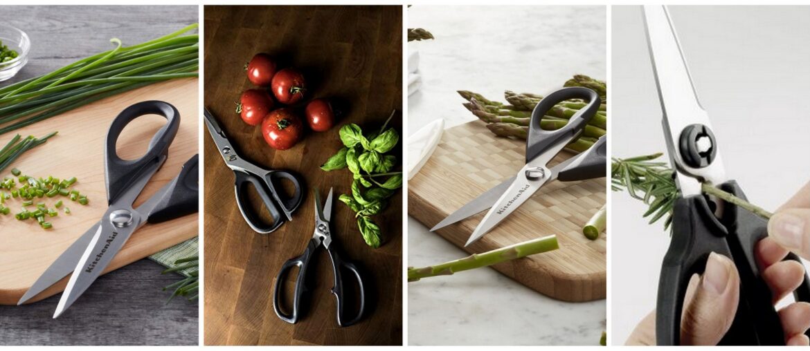 Best-Kitchen-Shears