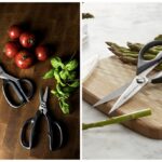 Best-Kitchen-Shears