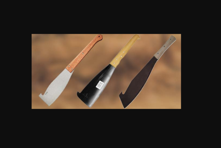 best cane knife